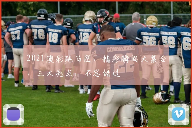 2021澳彩跑马图，精彩瞬间大集合，三大亮点，不容错过