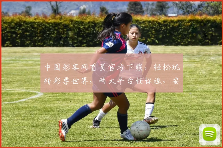 中国彩客网首页官方下载，轻松玩转彩票世界，两大平台任你选，安全便捷一步到位